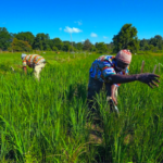 Moçambique Planeia Investir 1,4 Mil Milhões de Euros na Agricultura