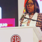 Benvinda Levi Defende Maior Cooperação entre Mercados Seguradores Africanos