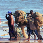 Desaparecimento de Pescadores Gera Suspeitas de Insurgência em Quissanga