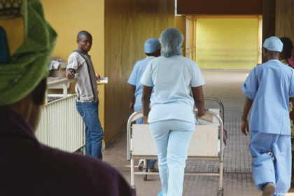 Medicina Tradicional Encaminha Mais de 368 Mil Casos Suspeitos Às Unidades Sanitárias em Moçambique