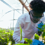 Governo Cria Instituto de Investigação em Biotecnologia e Águas