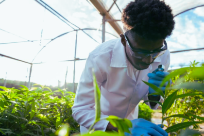 Governo Cria Instituto de Investigação em Biotecnologia e Águas