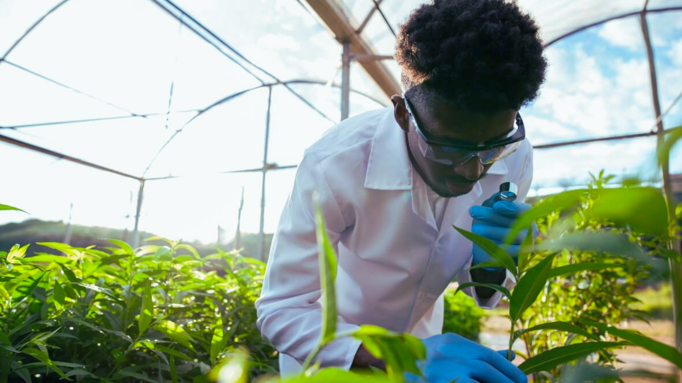 Governo Cria Instituto de Investigação em Biotecnologia e Águas